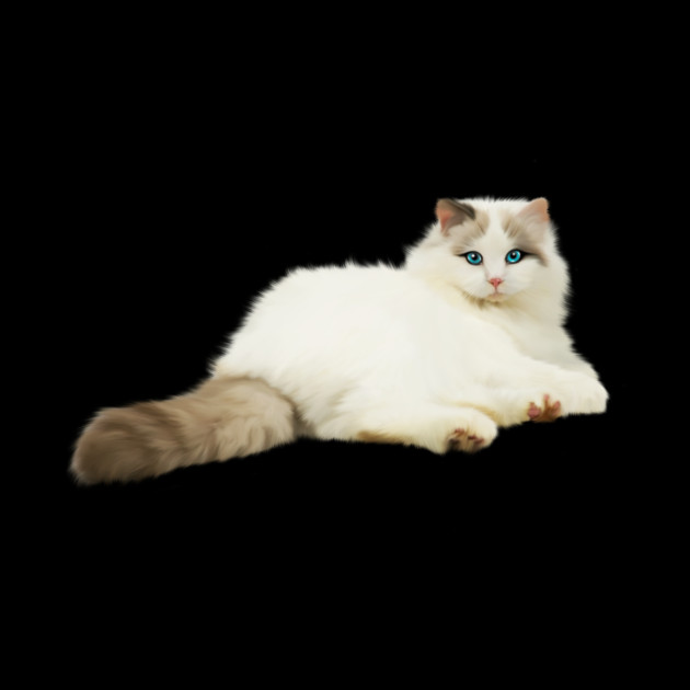 Ragdoll Cat, Love Ragdoll Cats, Cat Lover by logiamerch