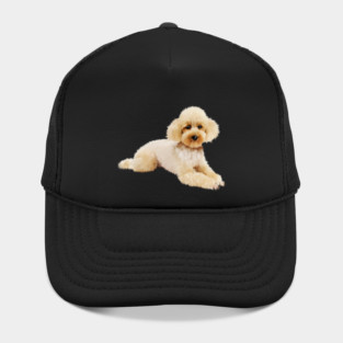 Cute Poodle dog, Love Poodles, Dog Lover Hat