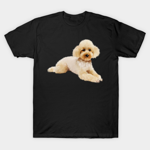Cute Poodle dog, Love Poodles, Dog Lover T-Shirt by logiamerch