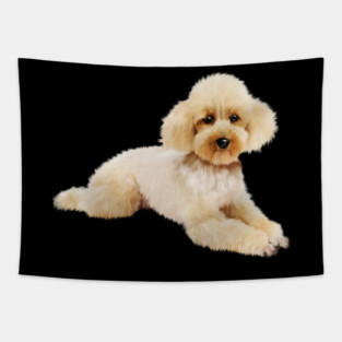 Cute Poodle dog, Love Poodles, Dog Lover Tapestry
