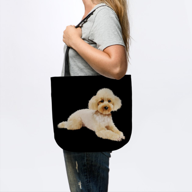 Cute Poodle dog, Love Poodles, Dog Lover by logiamerch