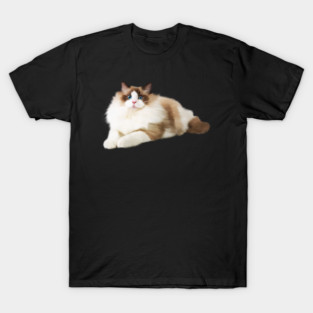 Ragdoll Cat, Love Ragdoll Cats, Cat Lover T-Shirt