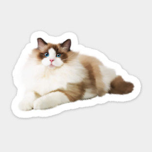 Ragdoll Cat, Love Ragdoll Cats, Cat Lover Sticker