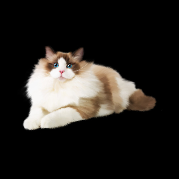 Ragdoll Cat, Love Ragdoll Cats, Cat Lover by logiamerch