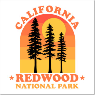 Redwood National Park - California Posters and Art