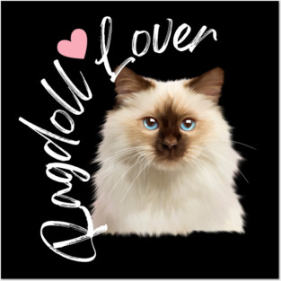 Ragdoll Cat Lover, Love Ragdoll Cats Posters and Art