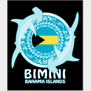 Hammerhead Shark Diving Bimini Posters and Art