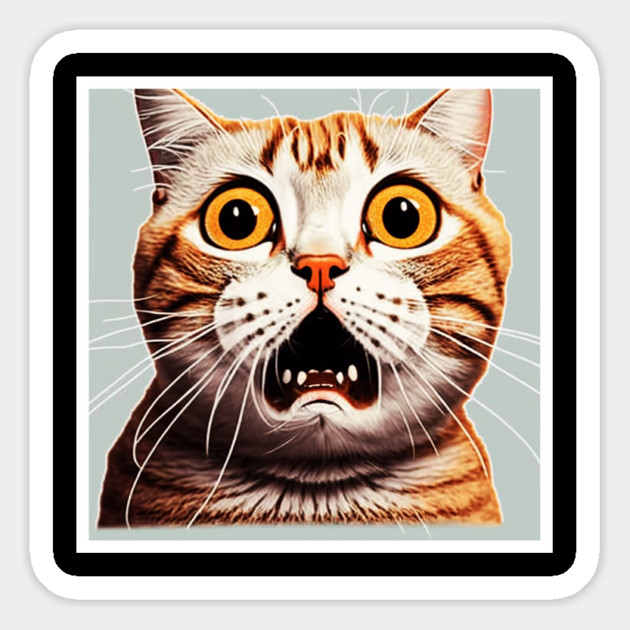 Funny Scared Cat Face, Cat Lover, Scaredy cat Magnet by logiamerch