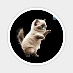 Cute Playful Kitten, Cat Lover Magnet