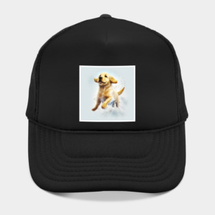 Golden Retriever Dog, Puppy Dog Hat