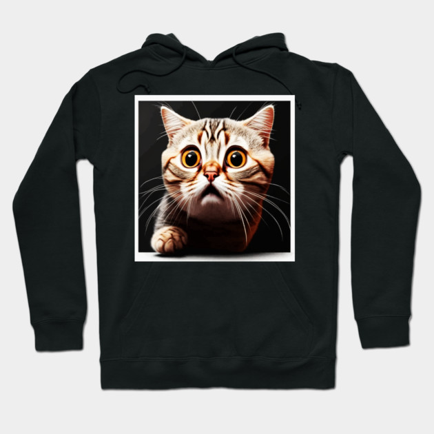 Funny Scared Cat Face, Cat Lover, Scaredy cat Hoodie by logiamerch