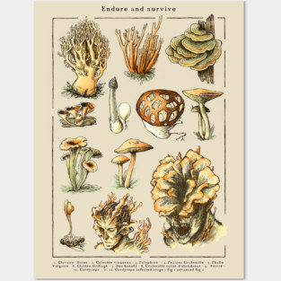 Endure and Survive - The last of us - Cordyceps mushrooms Posters and Art