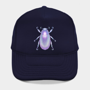 Holographic Beetle Hat