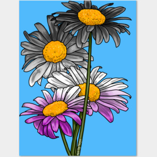 Daisies Ace Posters and Art