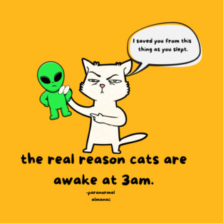 cats are heroes! T-Shirt