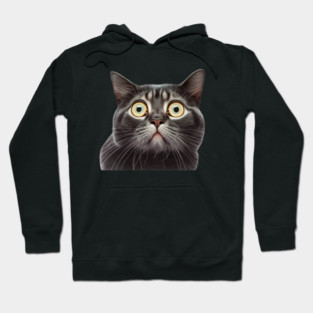 Funny Scared Cat Face, Cat Lover, Scaredy Cat Hoodie