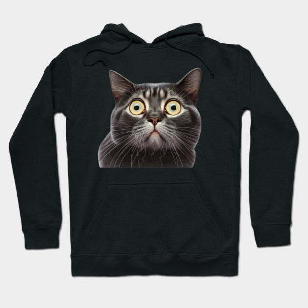 Funny Scared Cat Face, Cat Lover, Scaredy Cat Hoodie by logiamerch