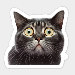 Funny Scared Cat Face, Cat Lover, Scaredy Cat Sticker