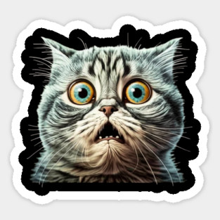 Funny Scared Cat Face, Cat Lover, Scaredy Cat Magnet