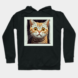 Funny Scared Ginger Cat Face, Cat Lover, Scaredy Cat Hoodie