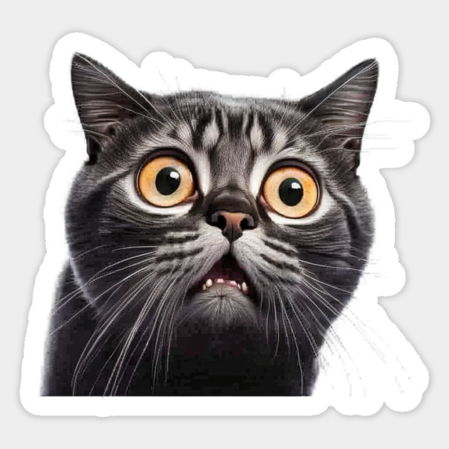 Funny Scared Cat Face, Cat Lover, Scaredy Cat Sticker by logiamerch