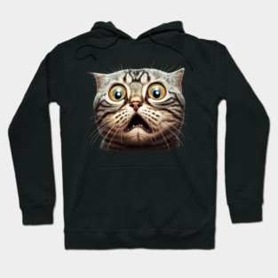 Funny Scared Cat Face, Cat Lover, Scaredy Cat Hoodie
