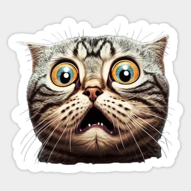 Funny Scared Cat Face, Cat Lover, Scaredy Cat Sticker by logiamerch