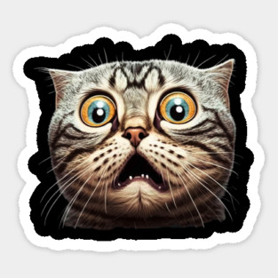 Funny Scared Cat Face, Cat Lover, Scaredy Cat Magnet