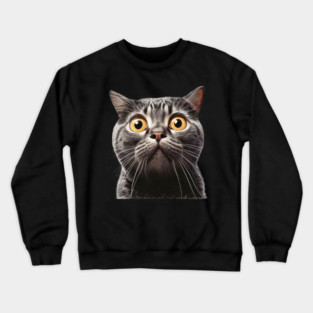 Funny Scared Cat Face, Cat Lover, Scaredy Cat Crewneck Sweatshirt