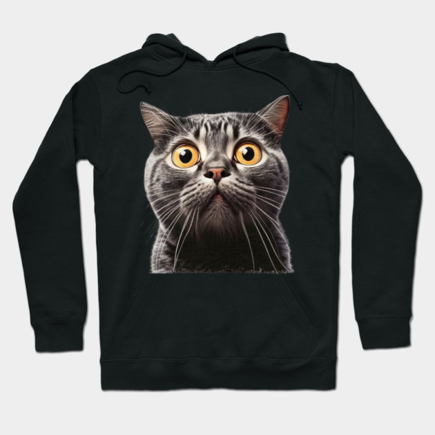 Funny Scared Cat Face, Cat Lover, Scaredy Cat Hoodie by logiamerch