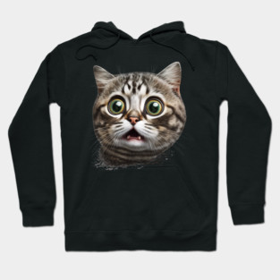 Funny Scared Cat Face, Cat Lover, Scaredy Cat Hoodie