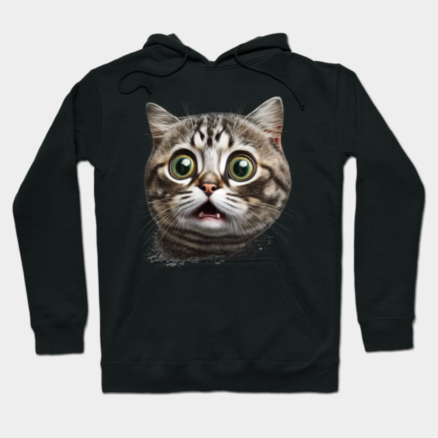 Funny Scared Cat Face, Cat Lover, Scaredy Cat Hoodie by logiamerch