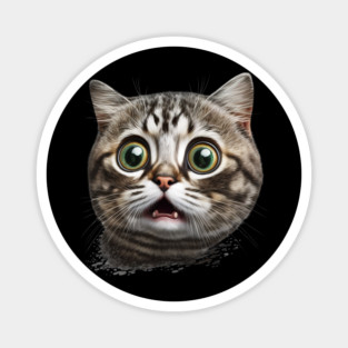 Funny Scared Cat Face, Cat Lover, Scaredy Cat Magnet