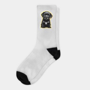 Adorable Little Black Labrador Retriever Puppy Socks