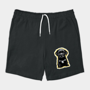 Adorable Little Black Labrador Retriever Puppy Shorts