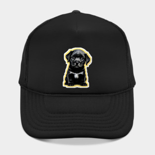 Adorable Little Black Labrador Retriever Puppy Hat