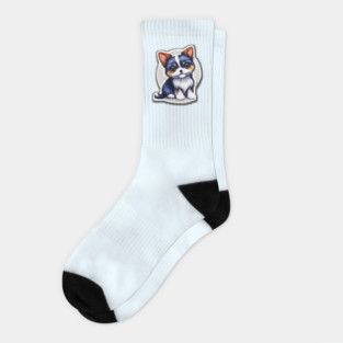 American Biewer Terrier Puppy Socks