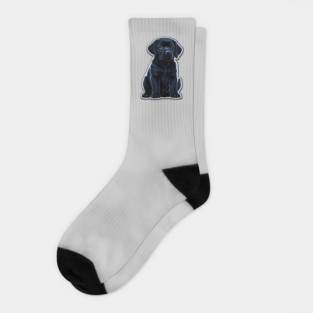Black Labrador Retriever Puppy Socks