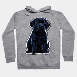 Black Labrador Retriever Puppy Hoodie