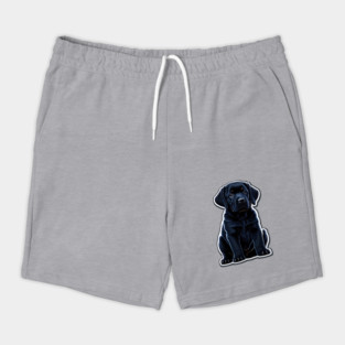 Black Labrador Retriever Puppy Shorts