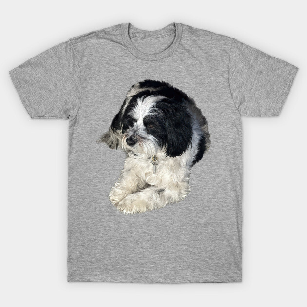 Havanese Toy Dog "Lulu" T-Shirt by SymbioticDesign