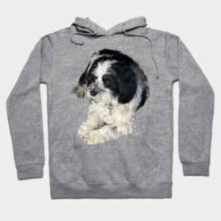 Havanese Toy Dog "Lulu" Hoodie