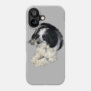 Havanese Toy Dog "Lulu" Phone Case