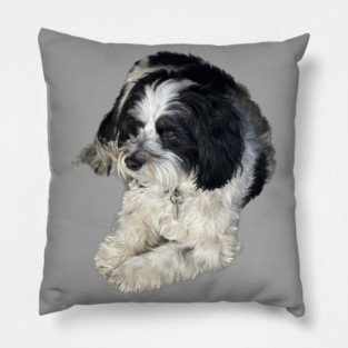 Havanese Toy Dog "Lulu" Pillow