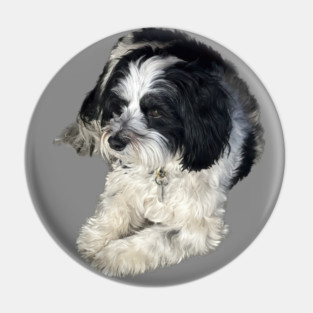 Havanese Toy Dog "Lulu" Pin