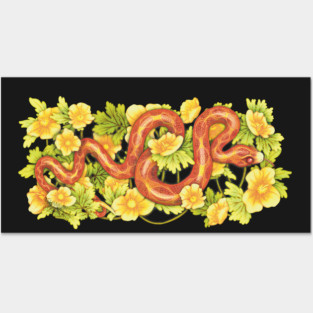 Corn Snake and Celadine Poppy Posters and Art
