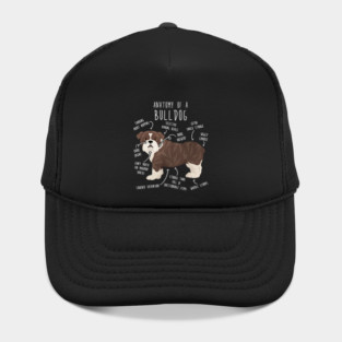 English Bulldog Brindle Dog Anatomy Hat