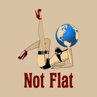 Earth Is Not Flat T-Shirt