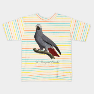 African Grey Parrot / Le Perroquet Cendre - 19th century Jacques Barraband Illustration Kids T-Shirt