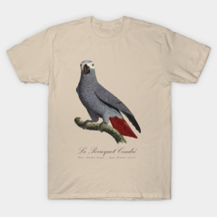 African Grey Parrot / Le Perroquet Cendre - 19th century Jacques Barraband Illustration T-Shirt